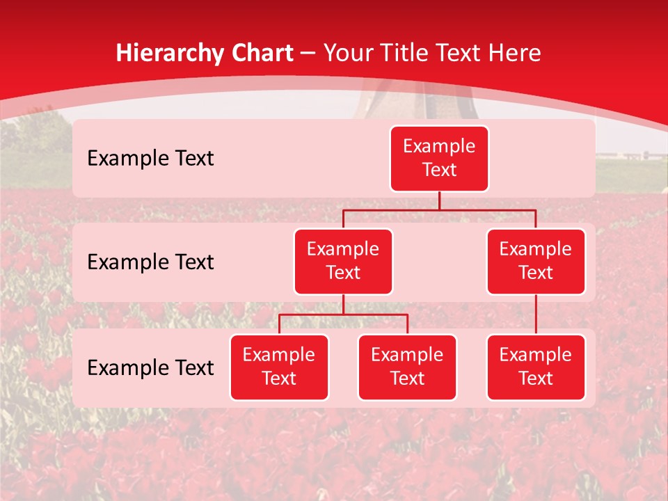 Netherlands Red Bulb PowerPoint Template