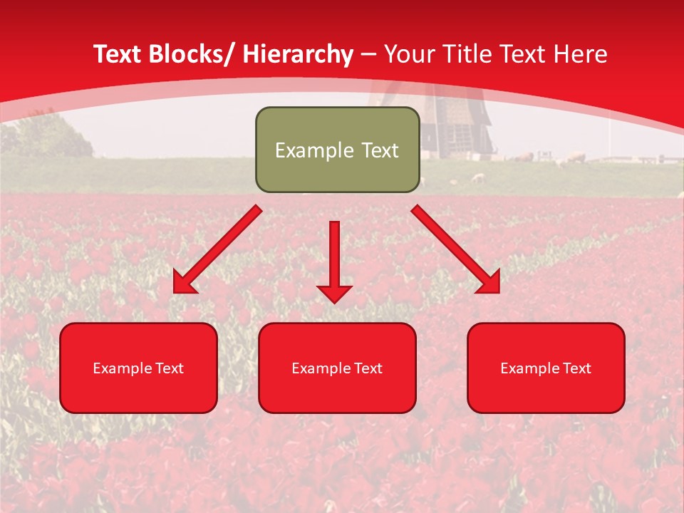 Netherlands Red Bulb PowerPoint Template