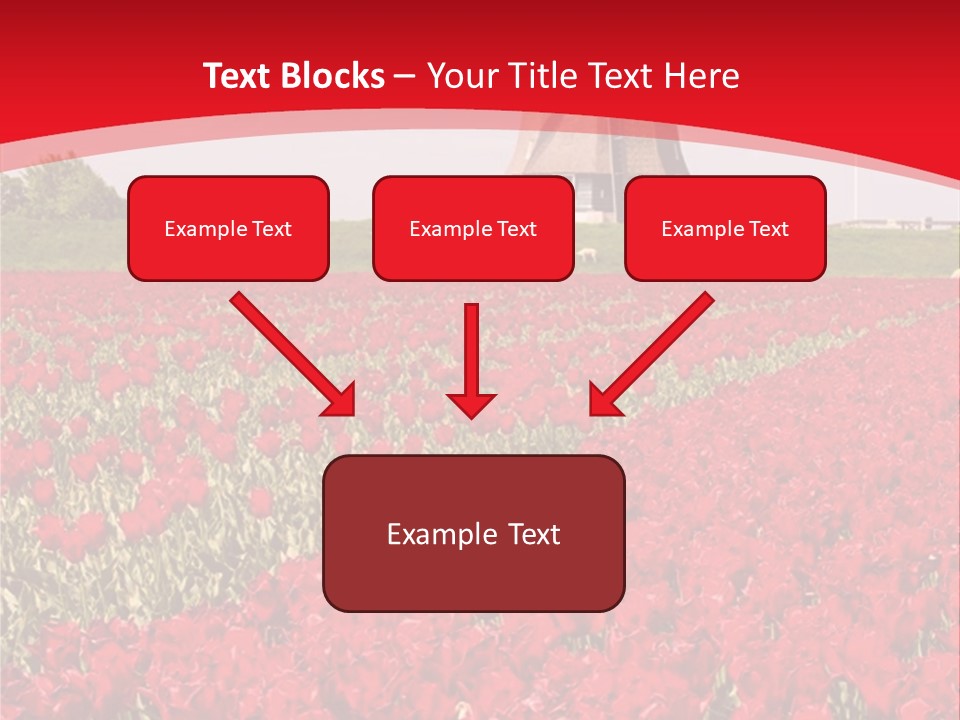 Netherlands Red Bulb PowerPoint Template