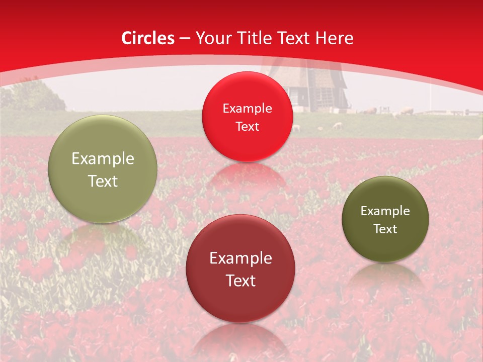 Netherlands Red Bulb PowerPoint Template