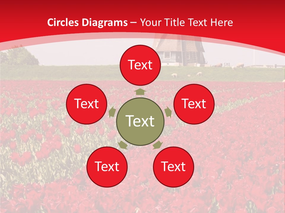 Netherlands Red Bulb PowerPoint Template