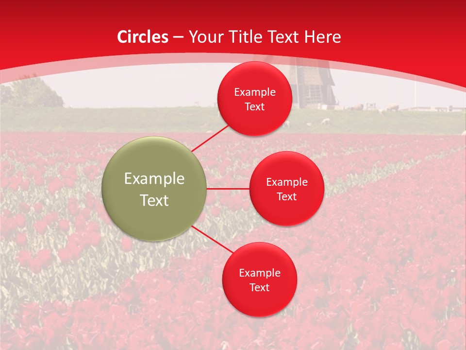 Netherlands Red Bulb PowerPoint Template