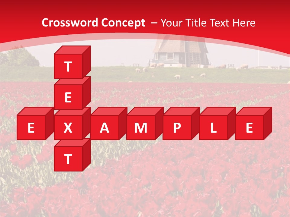 Netherlands Red Bulb PowerPoint Template