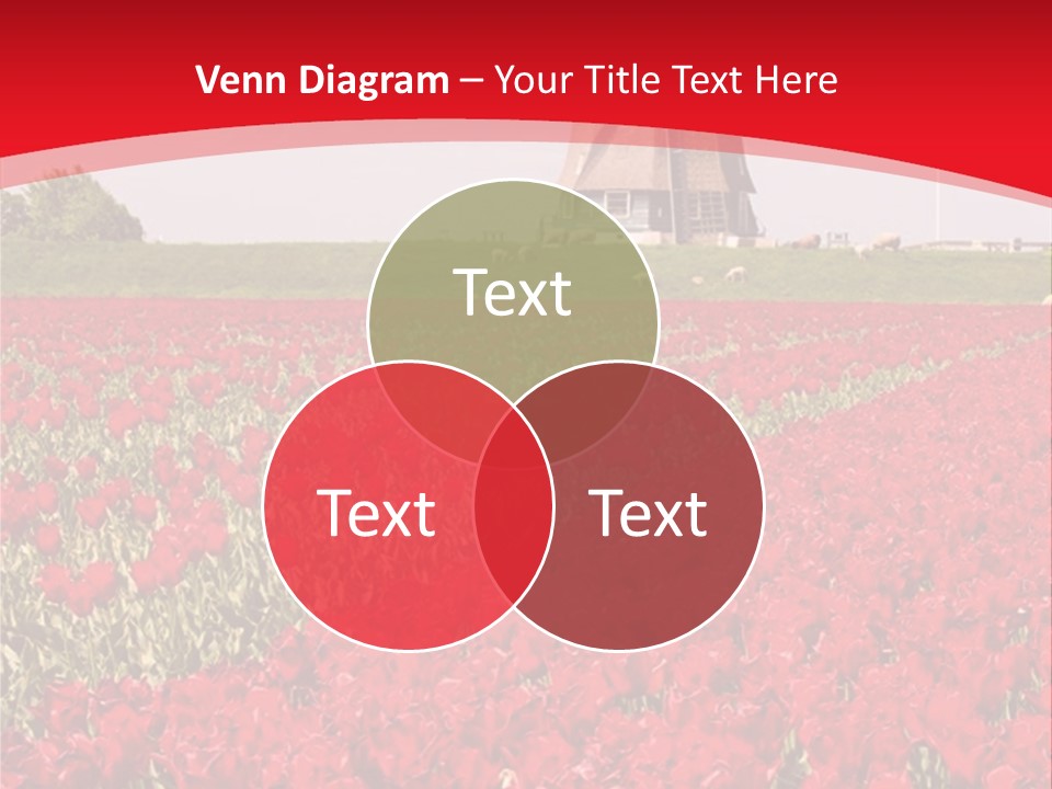 Netherlands Red Bulb PowerPoint Template