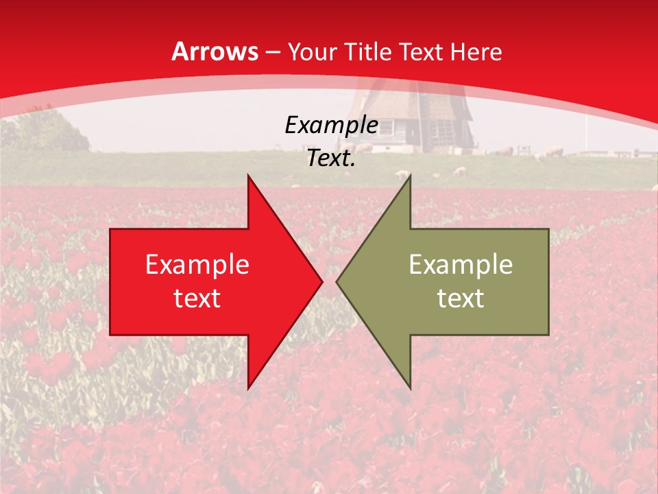 Netherlands Red Bulb PowerPoint Template