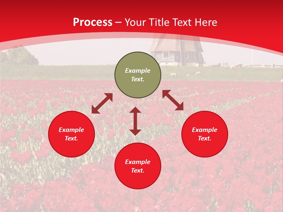 Netherlands Red Bulb PowerPoint Template
