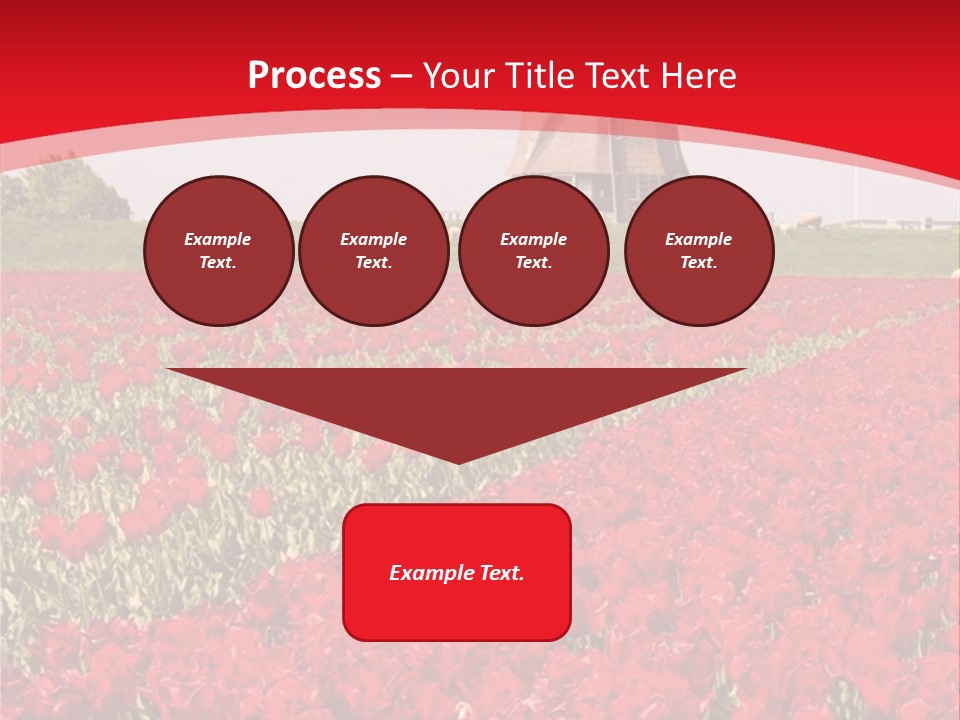 Netherlands Red Bulb PowerPoint Template
