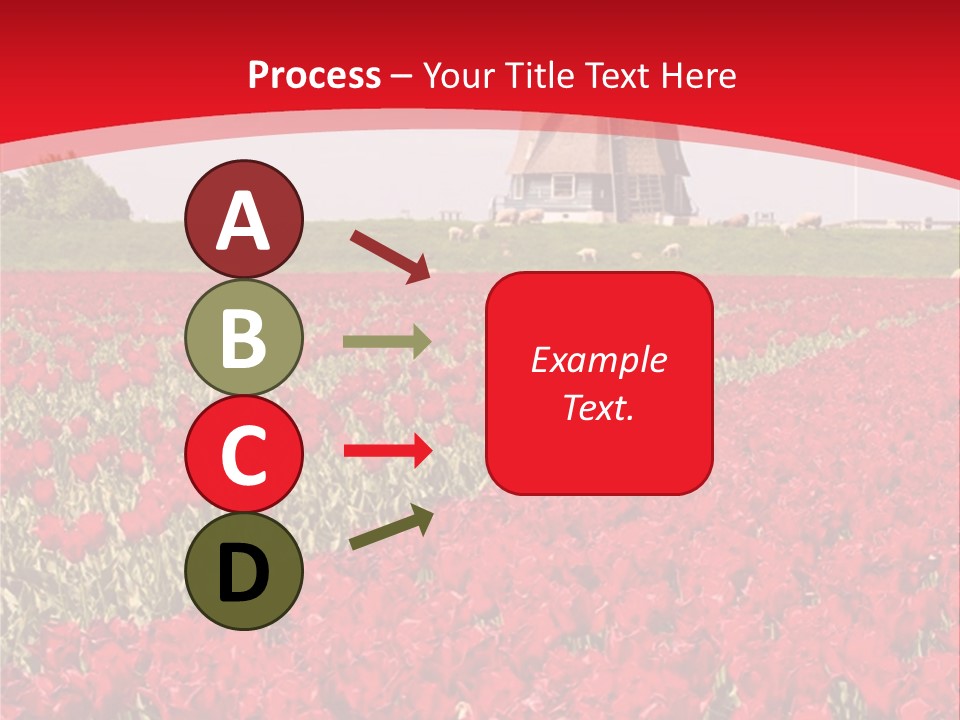 Netherlands Red Bulb PowerPoint Template
