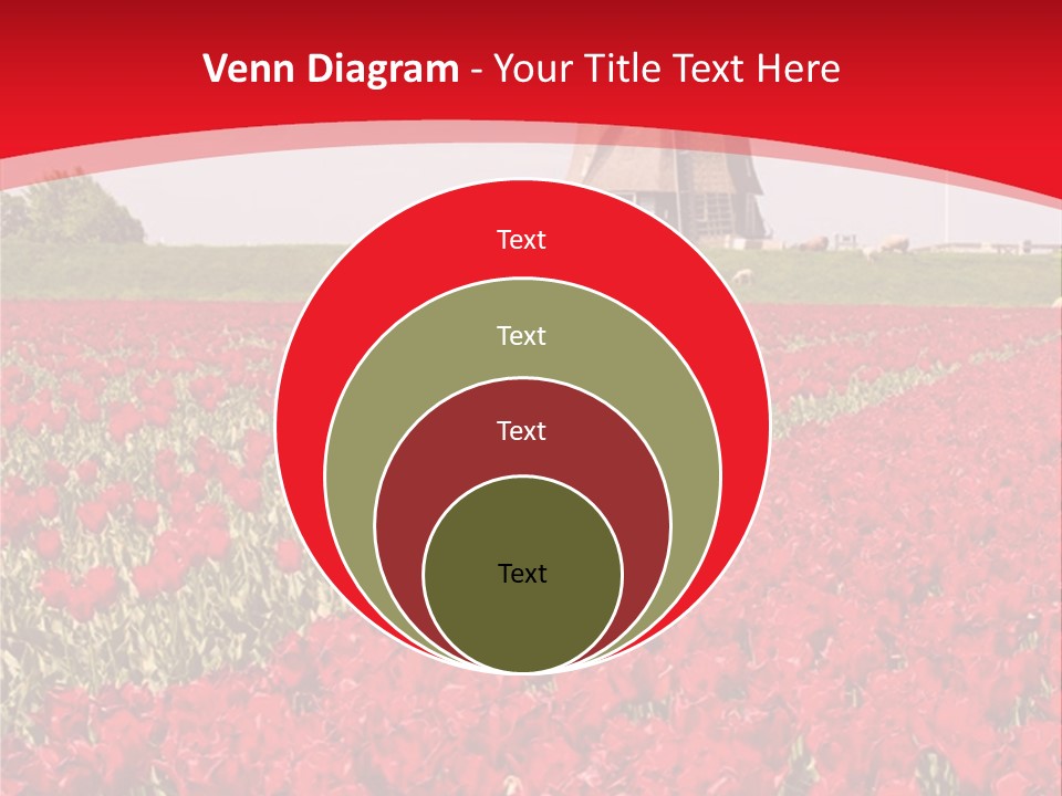 Netherlands Red Bulb PowerPoint Template