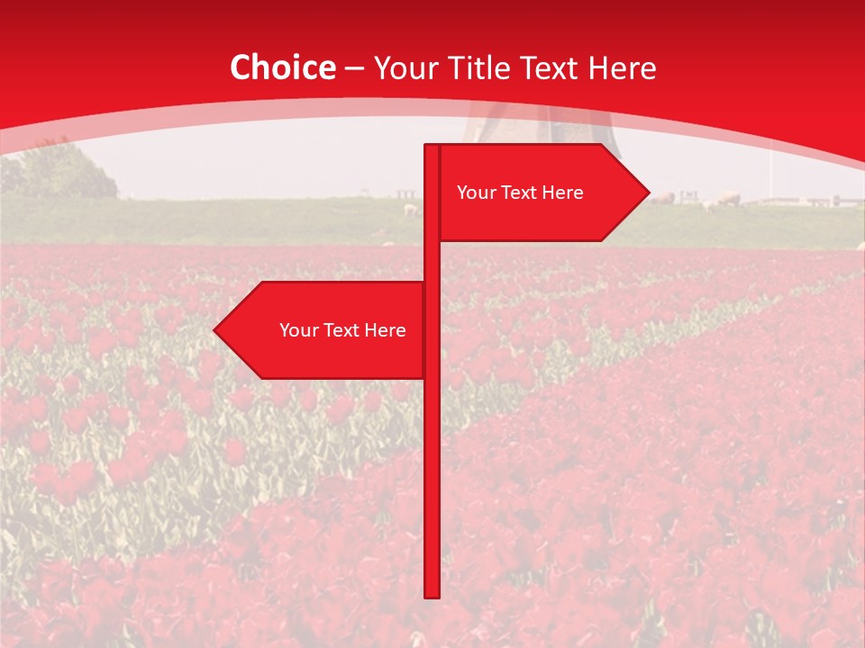 Netherlands Red Bulb PowerPoint Template