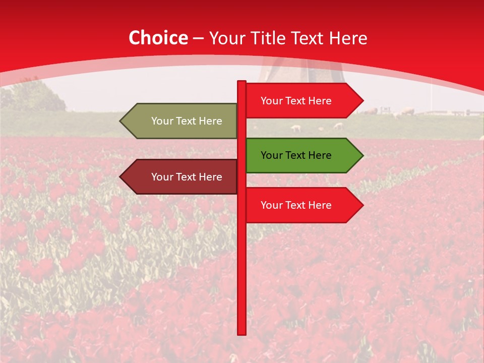 Netherlands Red Bulb PowerPoint Template