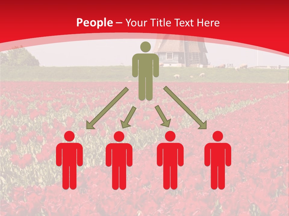 Netherlands Red Bulb PowerPoint Template