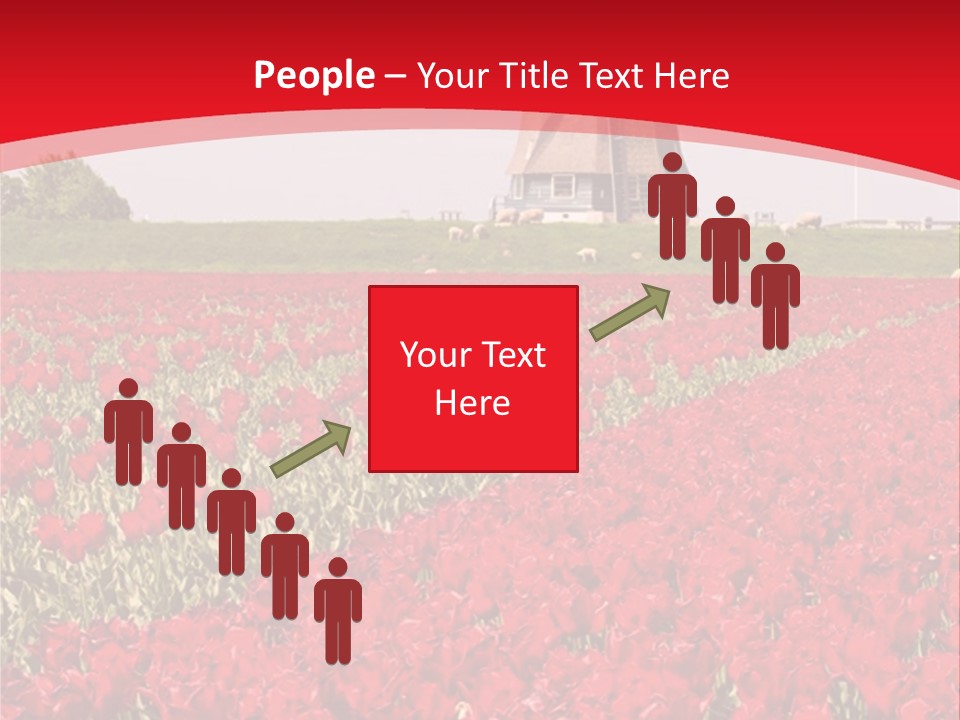Netherlands Red Bulb PowerPoint Template