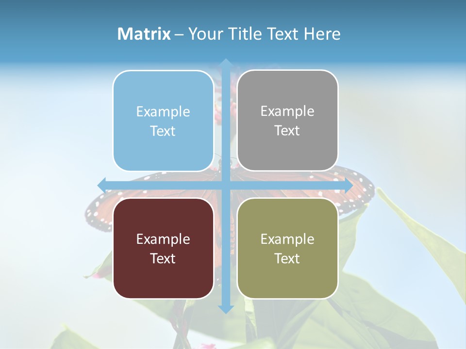 Queen Antenna Phipps PowerPoint Template