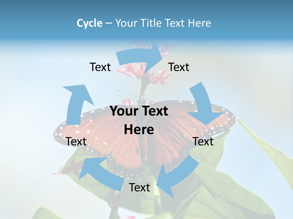 Queen Antenna Phipps PowerPoint Template