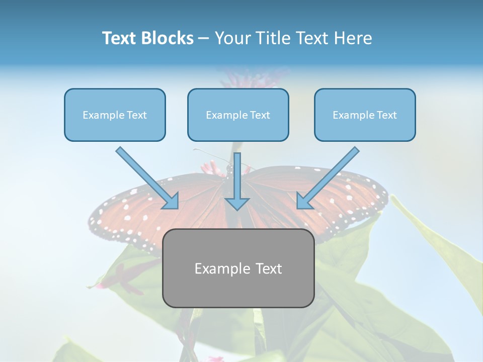 Queen Antenna Phipps PowerPoint Template