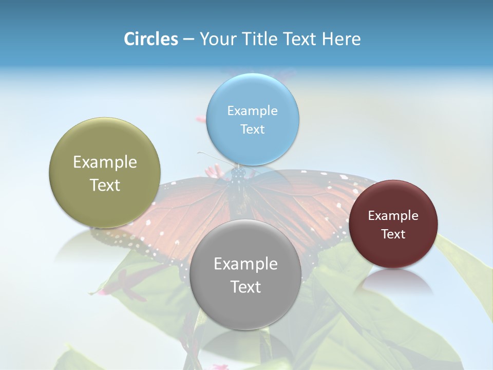 Queen Antenna Phipps PowerPoint Template