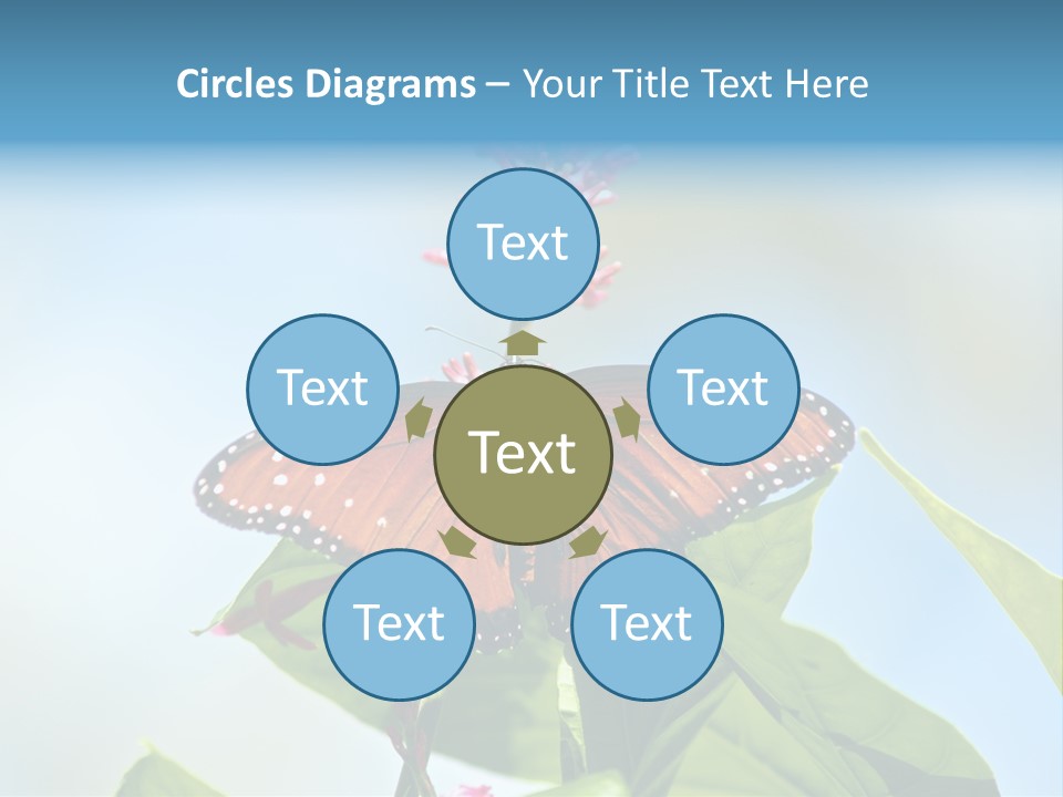 Queen Antenna Phipps PowerPoint Template