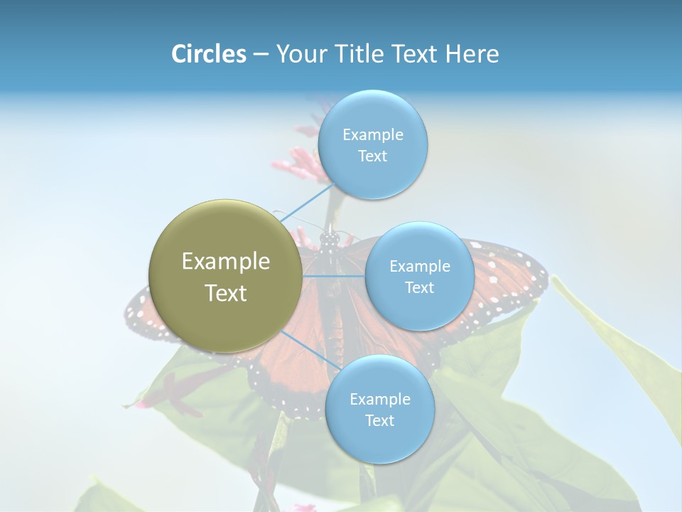 Queen Antenna Phipps PowerPoint Template