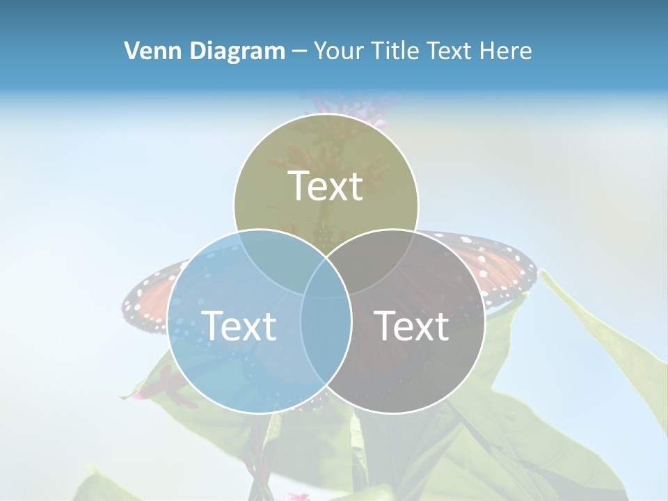 Queen Antenna Phipps PowerPoint Template