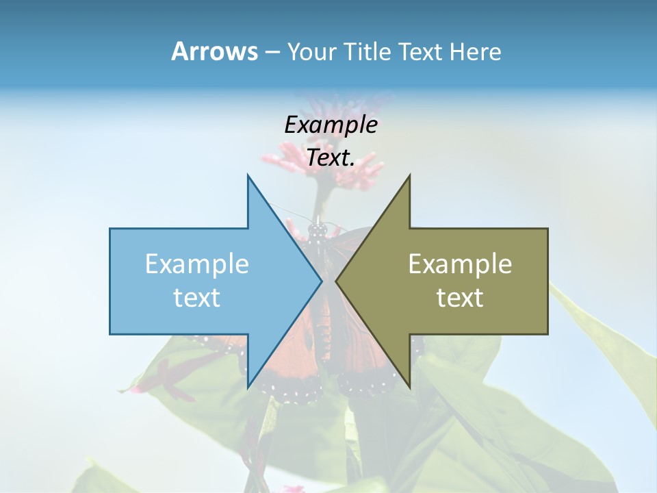 Queen Antenna Phipps PowerPoint Template