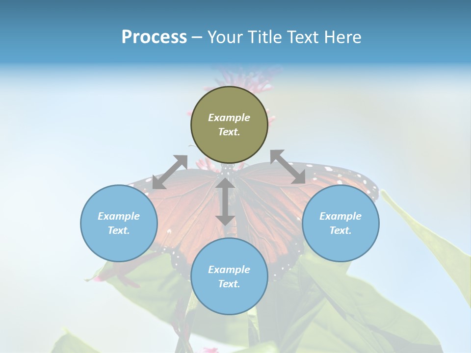 Queen Antenna Phipps PowerPoint Template