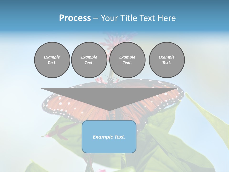 Queen Antenna Phipps PowerPoint Template