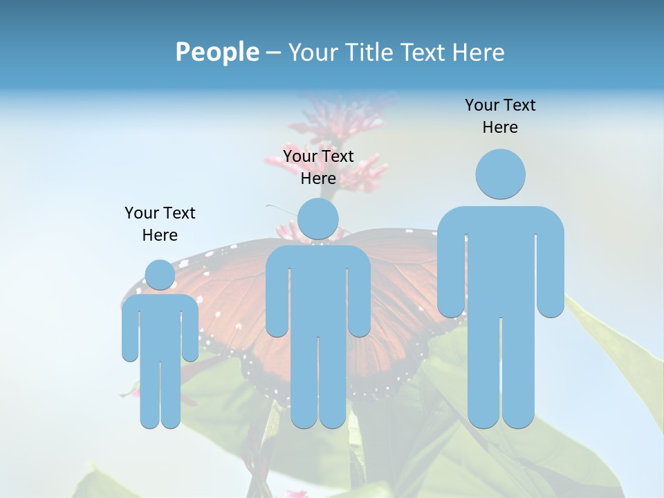 Queen Antenna Phipps PowerPoint Template