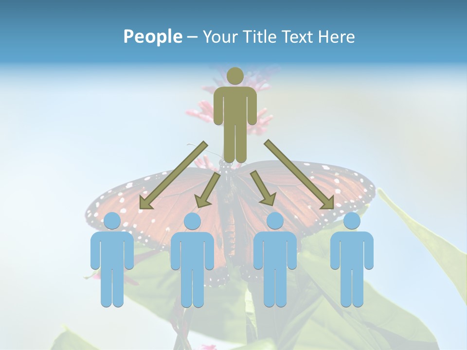 Queen Antenna Phipps PowerPoint Template