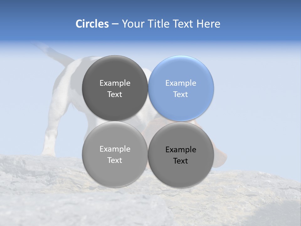 Dog Background Title PowerPoint Template