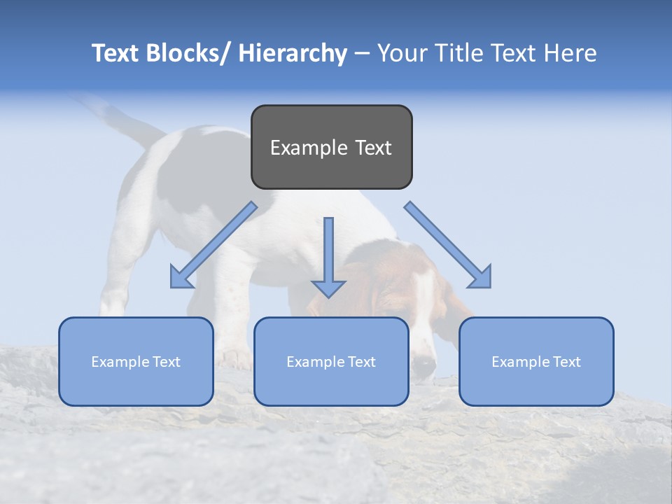 Dog Background Title PowerPoint Template