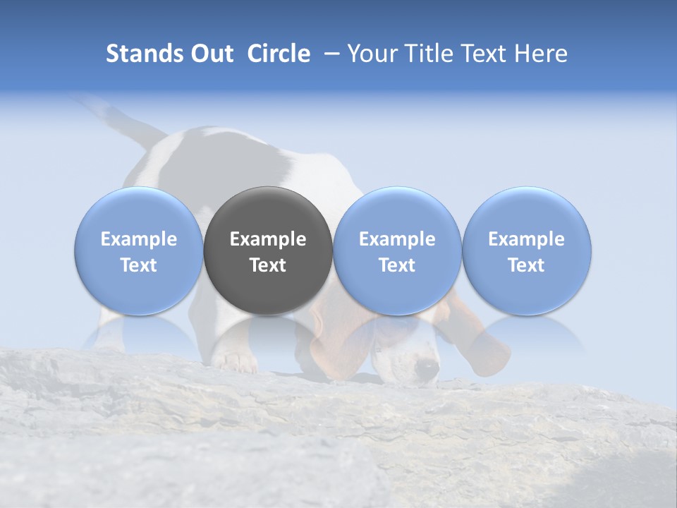 Dog Background Title PowerPoint Template