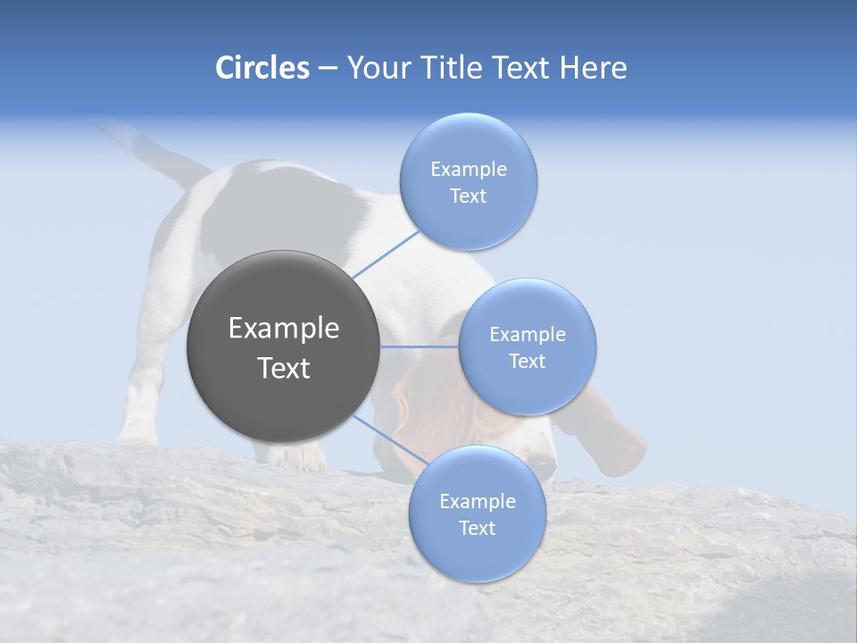 Dog Background Title PowerPoint Template