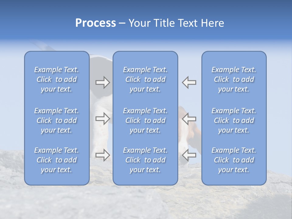 Dog Background Title PowerPoint Template