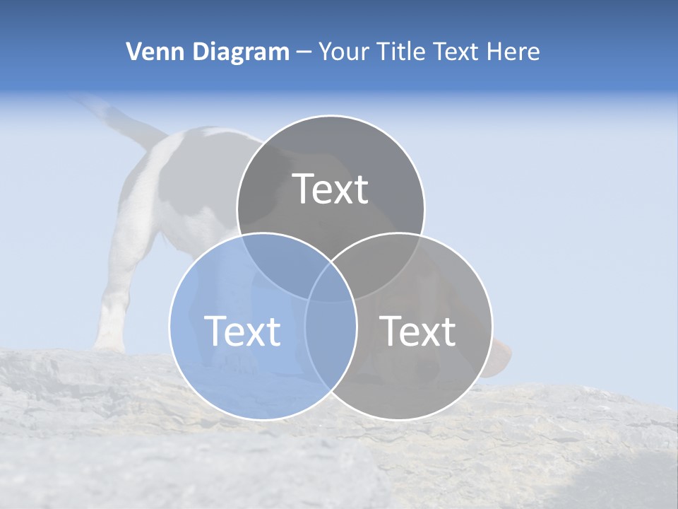 Dog Background Title PowerPoint Template