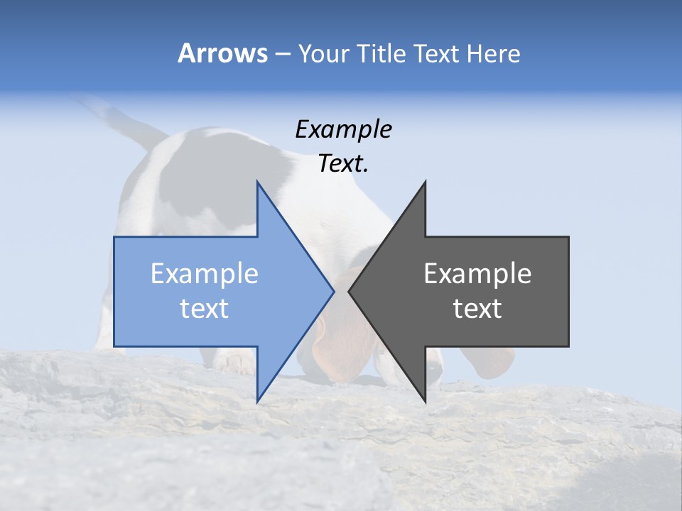 Dog Background Title PowerPoint Template