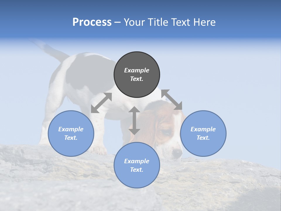 Dog Background Title PowerPoint Template
