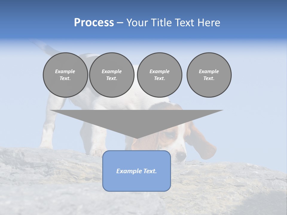 Dog Background Title PowerPoint Template
