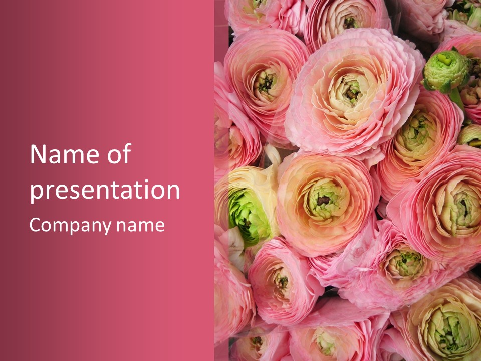 Romance Group Plant PowerPoint Template