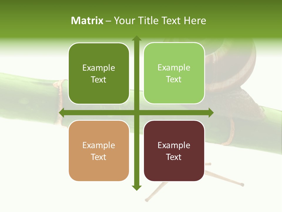 Snail Slowness Shell PowerPoint Template