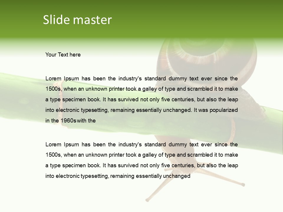 Snail Slowness Shell PowerPoint Template