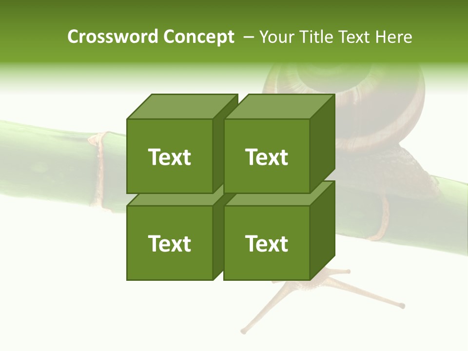 Snail Slowness Shell PowerPoint Template