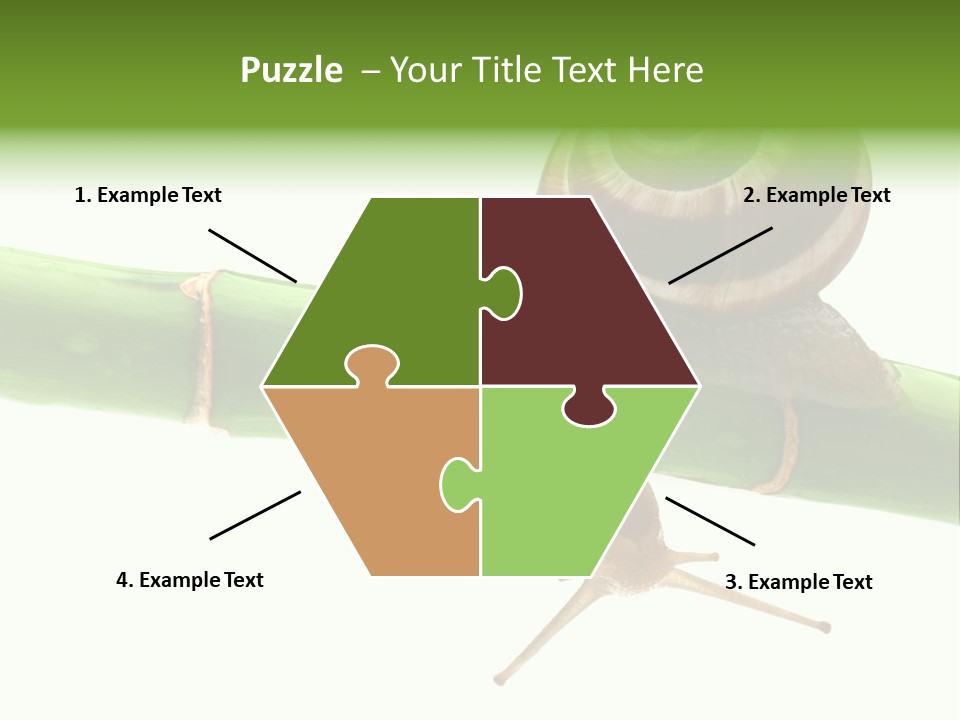 Snail Slowness Shell PowerPoint Template