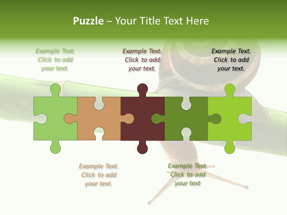 Snail Slowness Shell PowerPoint Template