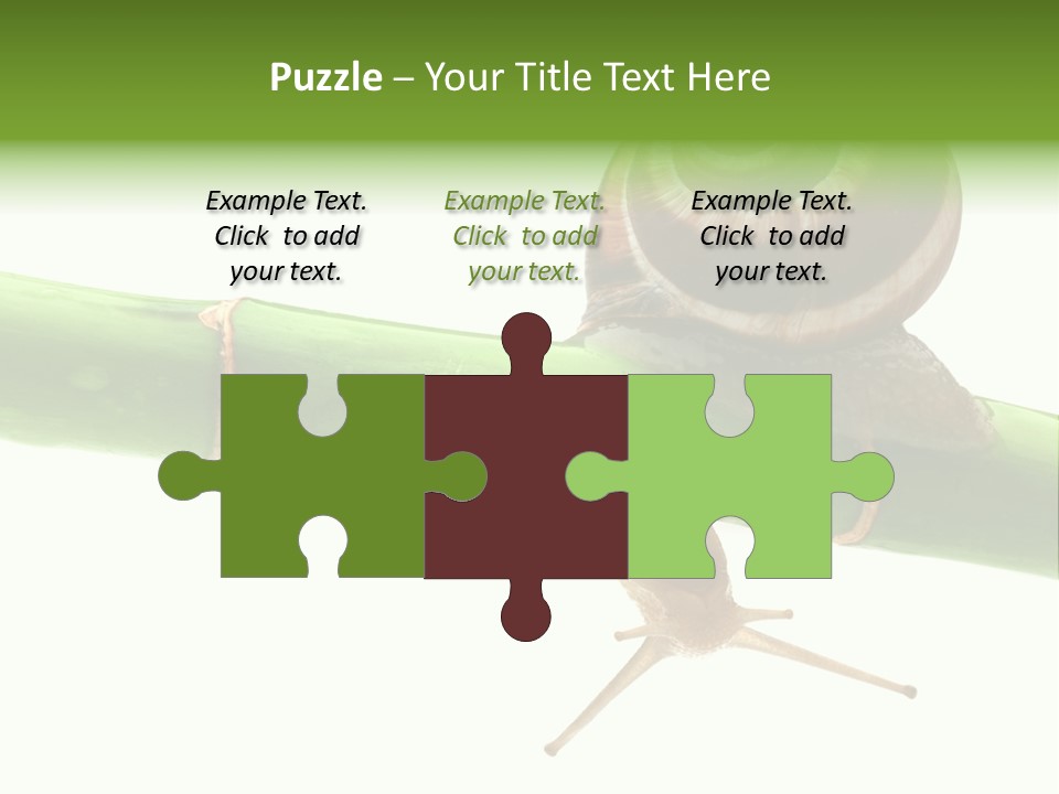 Snail Slowness Shell PowerPoint Template