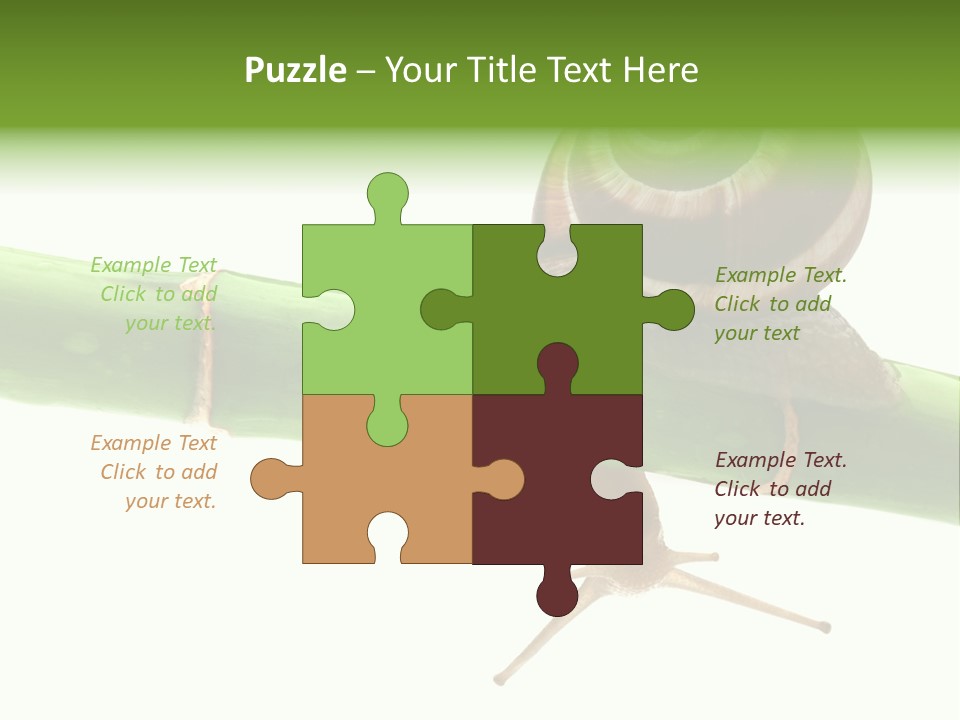 Snail Slowness Shell PowerPoint Template