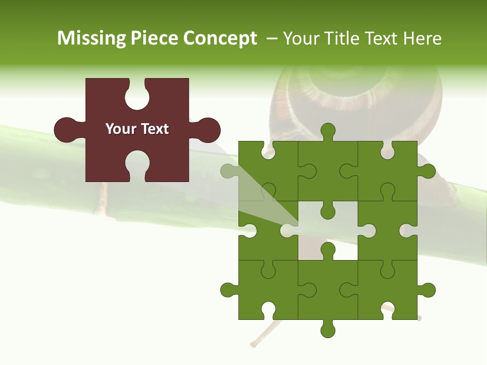 Snail Slowness Shell PowerPoint Template