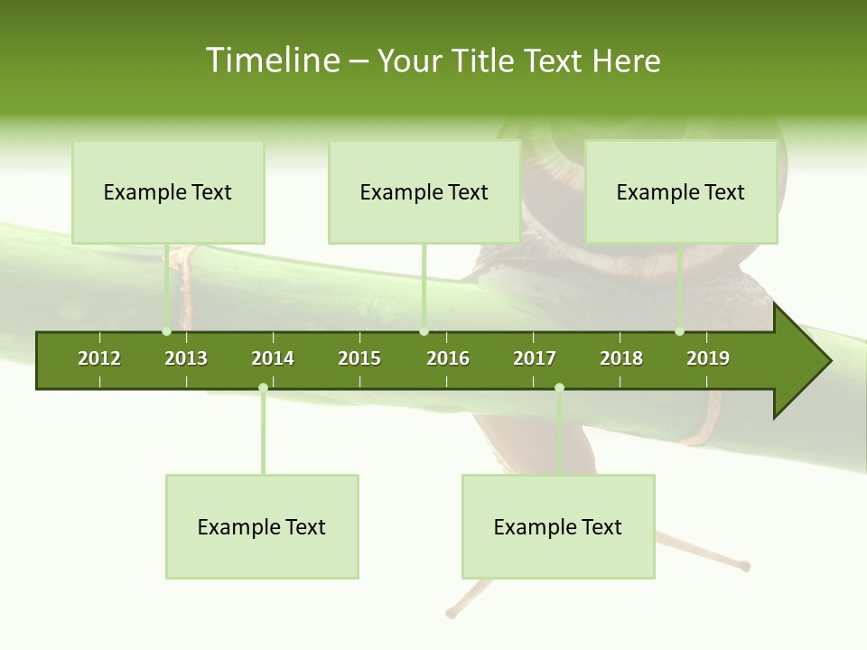 Snail Slowness Shell PowerPoint Template