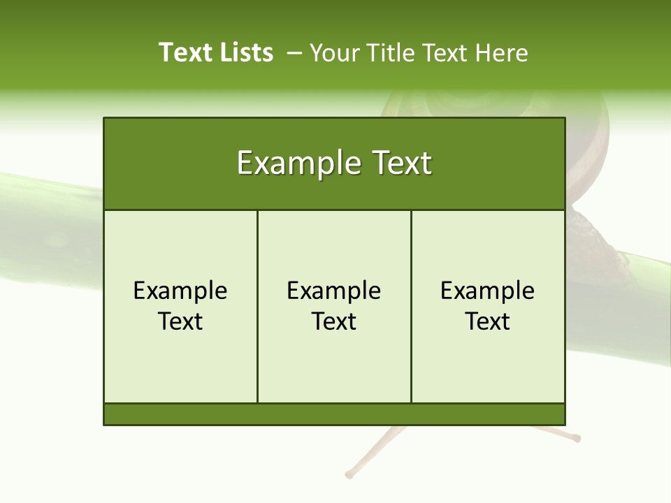 Snail Slowness Shell PowerPoint Template