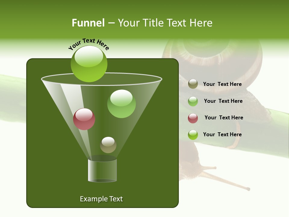 Snail Slowness Shell PowerPoint Template